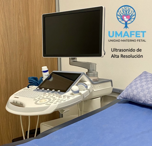 Alejandro Gaspar Vera-7