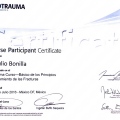 Ampliar imagen: certificate 24