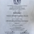 Ampliar imagen: certificate 5