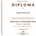Ampliar imagen: certificate 4