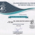 Ampliar imagen: certificate 8