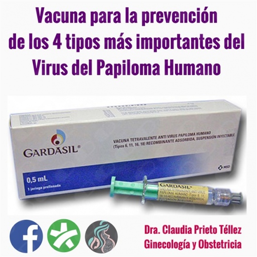 Claudia Gabriela Prieto Téllez-4