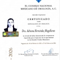 Ampliar imagen: certificate 3