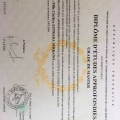 Ampliar imagen: certificate 4