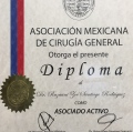Ampliar imagen: certificate 4