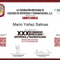 Ampliar imagen: certificate 10