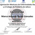 Ampliar imagen: certificate 8