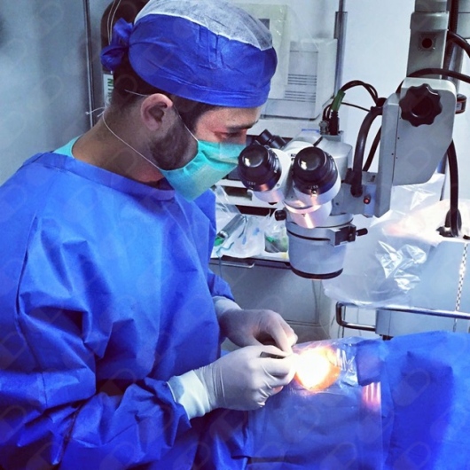 Gerardo Muñoz Gutiérrez-8