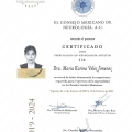 Ampliar imagen: certificate 1