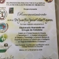 Ampliar imagen: certificate 7
