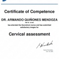 Ampliar imagen: certificate 36