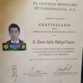 Ampliar imagen: certificate 1
