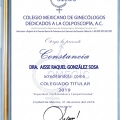 Ampliar imagen: certificate 2
