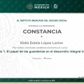 Ampliar imagen: certificate 20