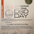 Ampliar imagen: certificate 4