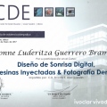 Ampliar imagen: certificate 5