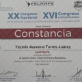 Ampliar imagen: certificate 28