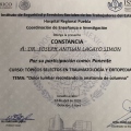 Ampliar imagen: certificate 9