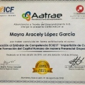 Ampliar imagen: certificate 11