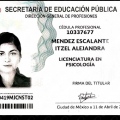 Ampliar imagen: certificate 5
