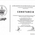 Ampliar imagen: certificate 20