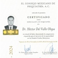 Ampliar imagen: certificate 1
