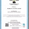 Ampliar imagen: certificate 4