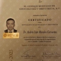Ampliar imagen: certificate 1