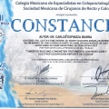 Ampliar imagen: certificate 4