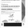 Ampliar imagen: certificate 3