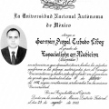 Ampliar imagen: certificate 6