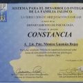 Ampliar imagen: certificate 73