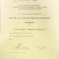Ampliar imagen: certificate 21