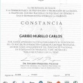 Ampliar imagen: certificate 9