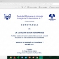 Ampliar imagen: certificate 10