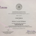 Ampliar imagen: certificate 2