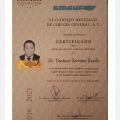 Ampliar imagen: certificate 2