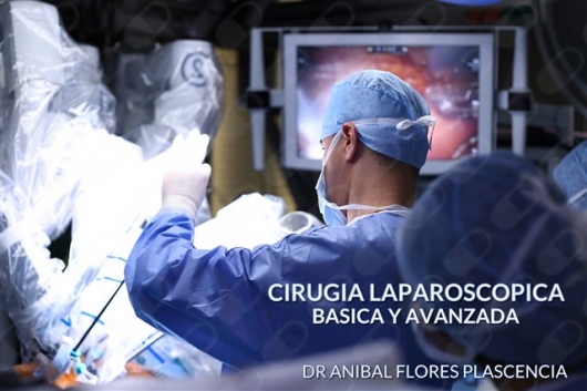 Anibal Enrique Flores Plascencia-7