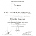 Ampliar imagen: certificate 11
