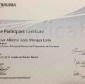 Ampliar imagen: certificate 9
