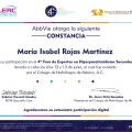 Ampliar imagen: certificate 3