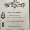 Ampliar imagen: certificate 7