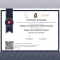Ampliar imagen: certificate 9