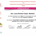 Ampliar imagen: certificate 27