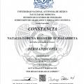 Ampliar imagen: certificate 5
