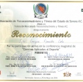 Ampliar imagen: certificate 7