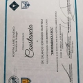 Ampliar imagen: certificate 7