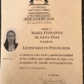 Ampliar imagen: certificate 3