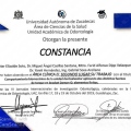 Ampliar imagen: certificate 13