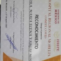 Ampliar imagen: certificate 5